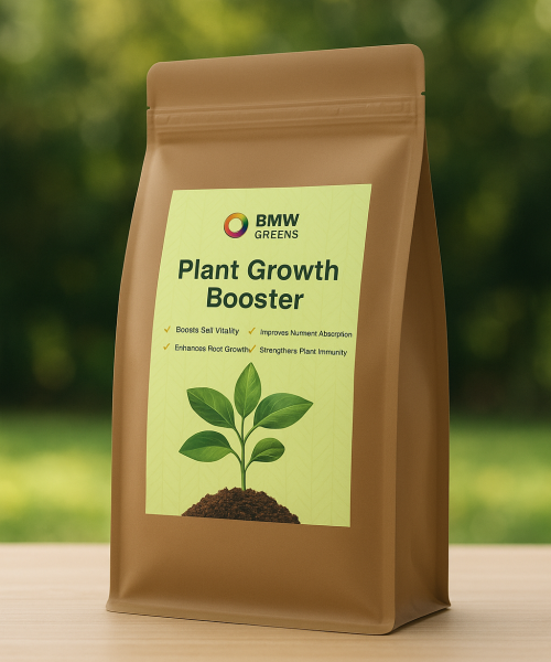 ChatGPT Image Aug 27, 2025, 10_02_20 AM