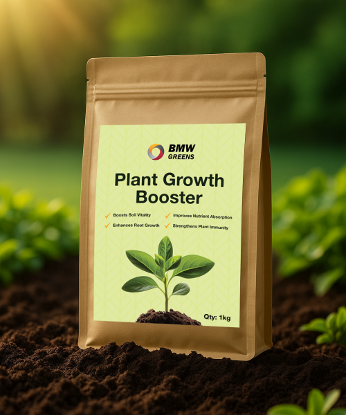 ChatGPT Image Jul 17, 2025, 02_22_22 PM